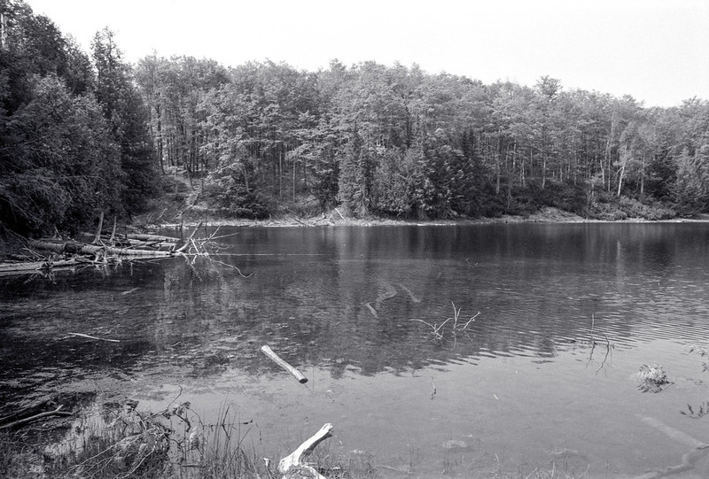 Karsten's Lake I Late May