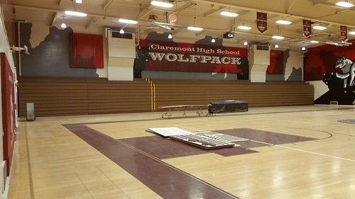 Claremont wall 2 - gym graphics