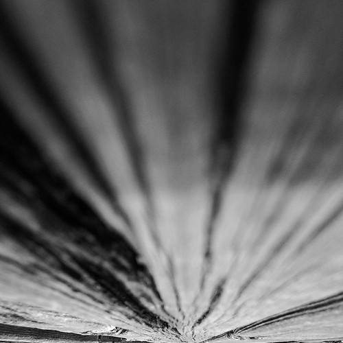 Personal Space #blackandwhite #macro #abstract #lofi #walkabout #outdoors #weathered #clickthing