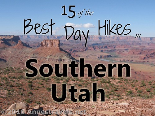 15 of the Best Day Hikes in Southern Utah - picture from Minor Overlook, Canyon Rims Recreation Area