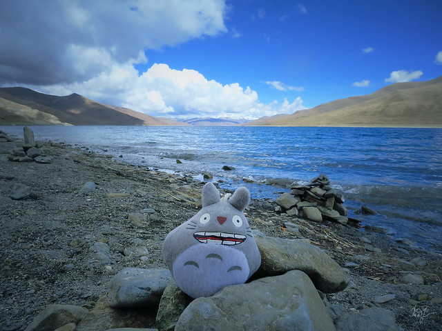 Day #158: totoro admires the Yamdrok Lake