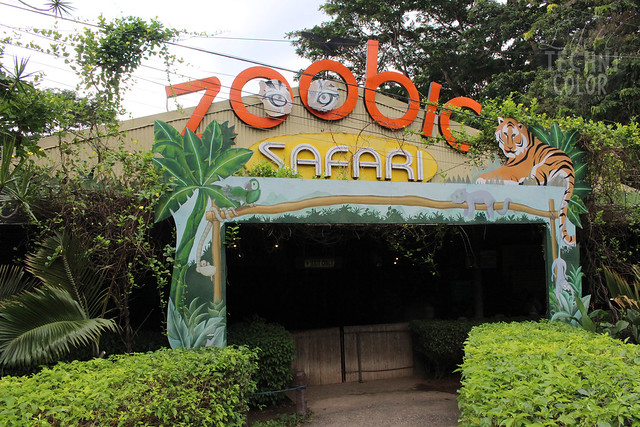 Zoobic Safari