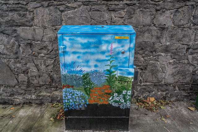 STREET ART - PAINT A UTILITY CABINET IN DUBLIN [PHIBSBORO]-121606