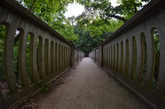 Old Bridge at Matthiessen State Park