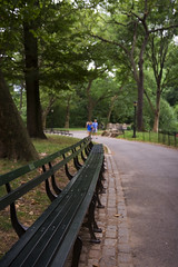 Central Park Benches