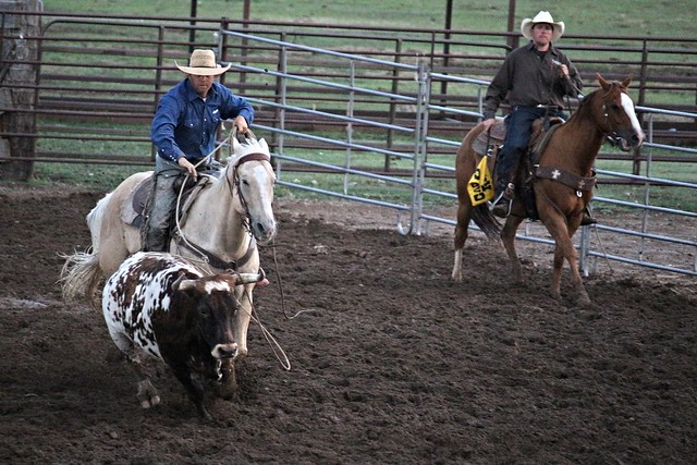 Custer County Fair Ranch Rodeo 2016