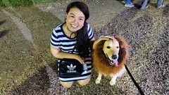 What a cute dog! ? #silliman #sillimanu #sillimanuniversity #sillimanian #hibalag #hibalag2016 #foundersweek #dumaguete #dumsville #whenindumaguete #ig_dumaguete #philippines #pinas #pilipinas #fujifilm #fujifilm_xseries