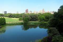 NYC - Central Park: Turtle Pond