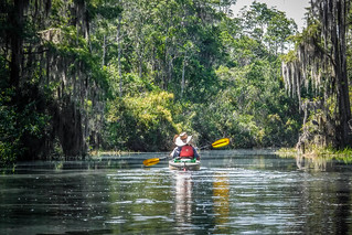 Lowcountry Unfiltered at Okefenokee-157