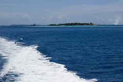 Maldives Islands. Kuramathi Island Resort