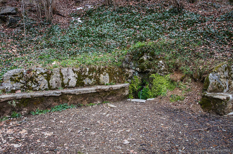 Font del Vern, una de las fuentes extraurbanas de Camprodón