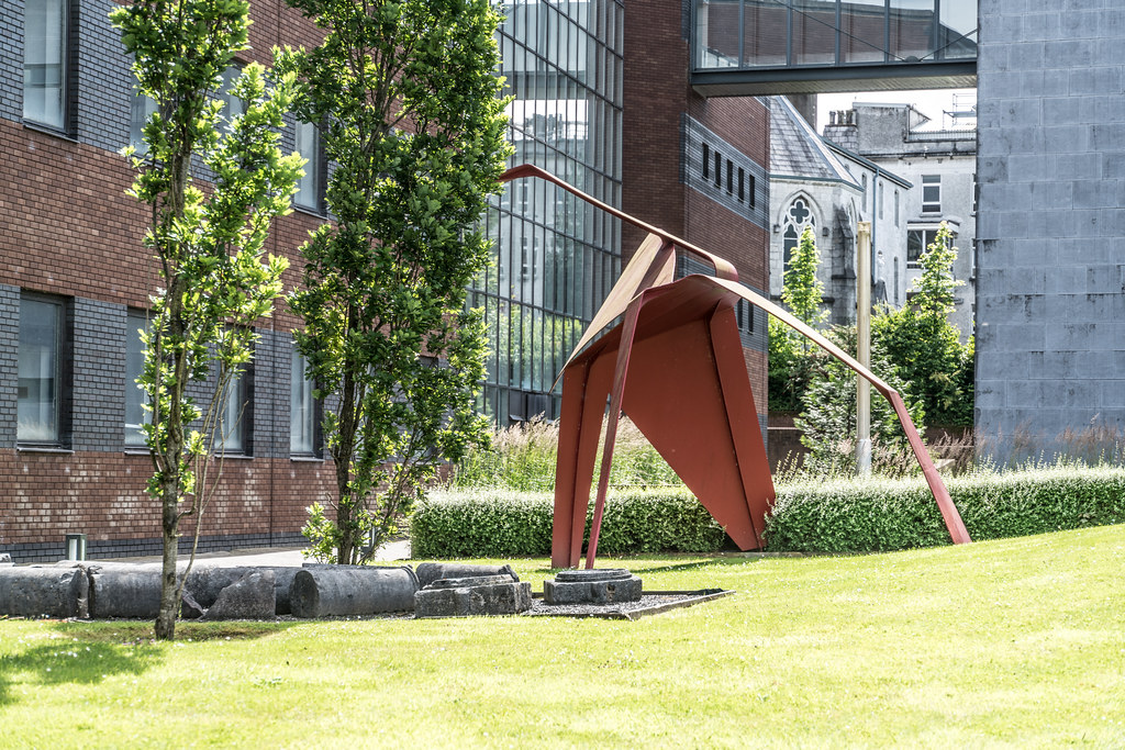 EXAMPLES OF PUBLIC ART AT CORK UNIVERSITY CAMPUS [USED SONY A7RM2 WITH 28-135mm LENS]-120715