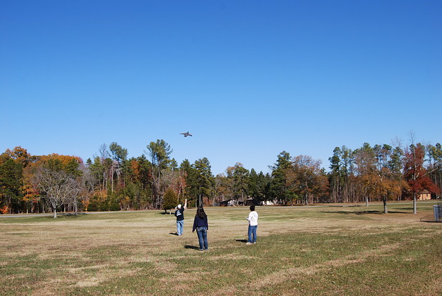 Staunton River State Park has a large open field near the swimming complex/office that's perfect for kite flying