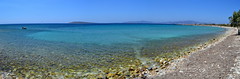 Aliki / Αλυκή, Paros / Πάρος, Cyclades, Greece