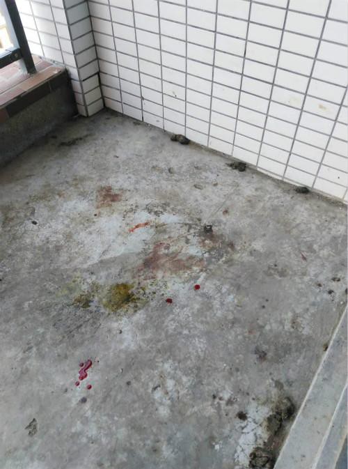 Man killed over more than 50 dogs for fun in Shenzhen, lawyers: domestic law on penalties