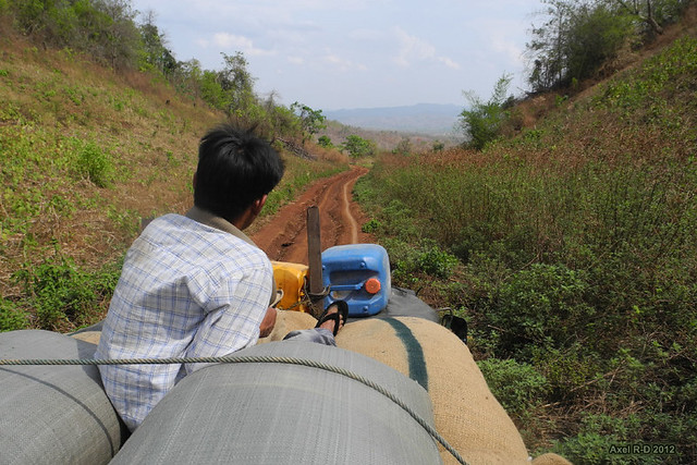 On the tea truck - Shan State, Myanmar