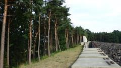 Belzec - death camp, pines