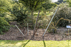 Bed Of Nails by Alan Corrigan & Finbar O'Neill: Sculpture In Context 2012 at the National Botanic Gardens