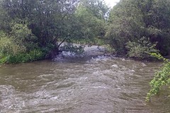 River Vorotan at Sanasar (Kubatli), 2014.05.09 (01) 1