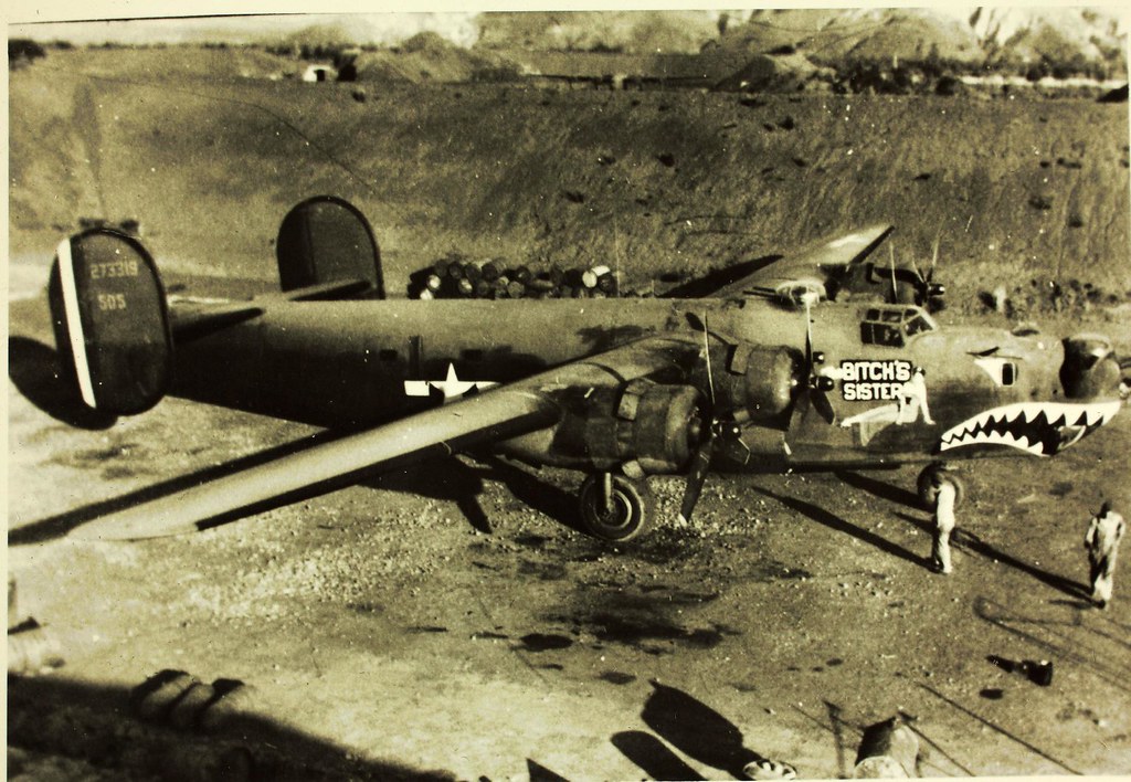 Image result for B-24 Liberator The Bitch Sister