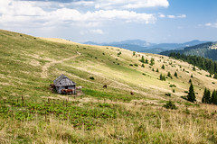 Carpathian Landscape