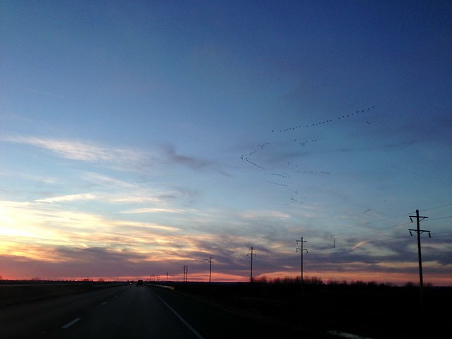 Birds, Sunset, Southern Missouri 3