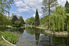 Le parc d'Avroy avec son étang et sa végétation luxuriante