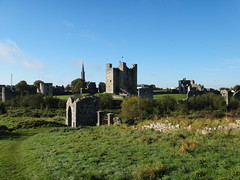 Sheep's Gate and Trim Castle