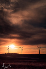 The Wind Turbines at Sunset