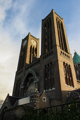 St Bavo Cathedral, Haarlem