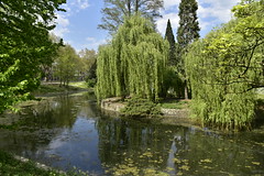 L'étang du parc d'Avroy entouré de végétation luxuriante