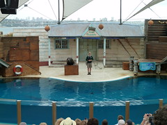 Seal show at Taronga Zoo