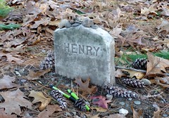 Henry David Thoreau's grave