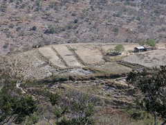 View - Vista desde San Miguel Piedras, Distrito de Nochixtlán, Región Mixteca, Oaxaca, Mexico