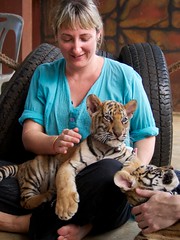 Jules and tiger cub at tiger temple.