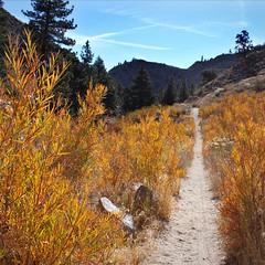 Lower Rock Creek Canyon Trail
