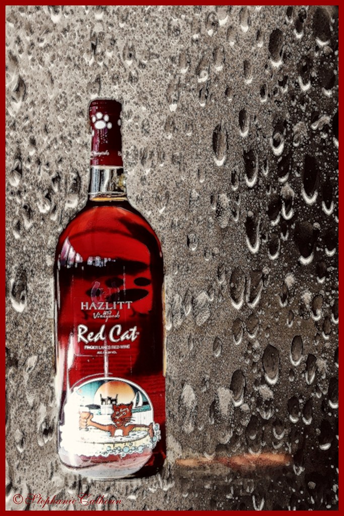 13/365 Red Cat Wine "Red Cat. Red Cat. It's an aphrodisi… Flickr