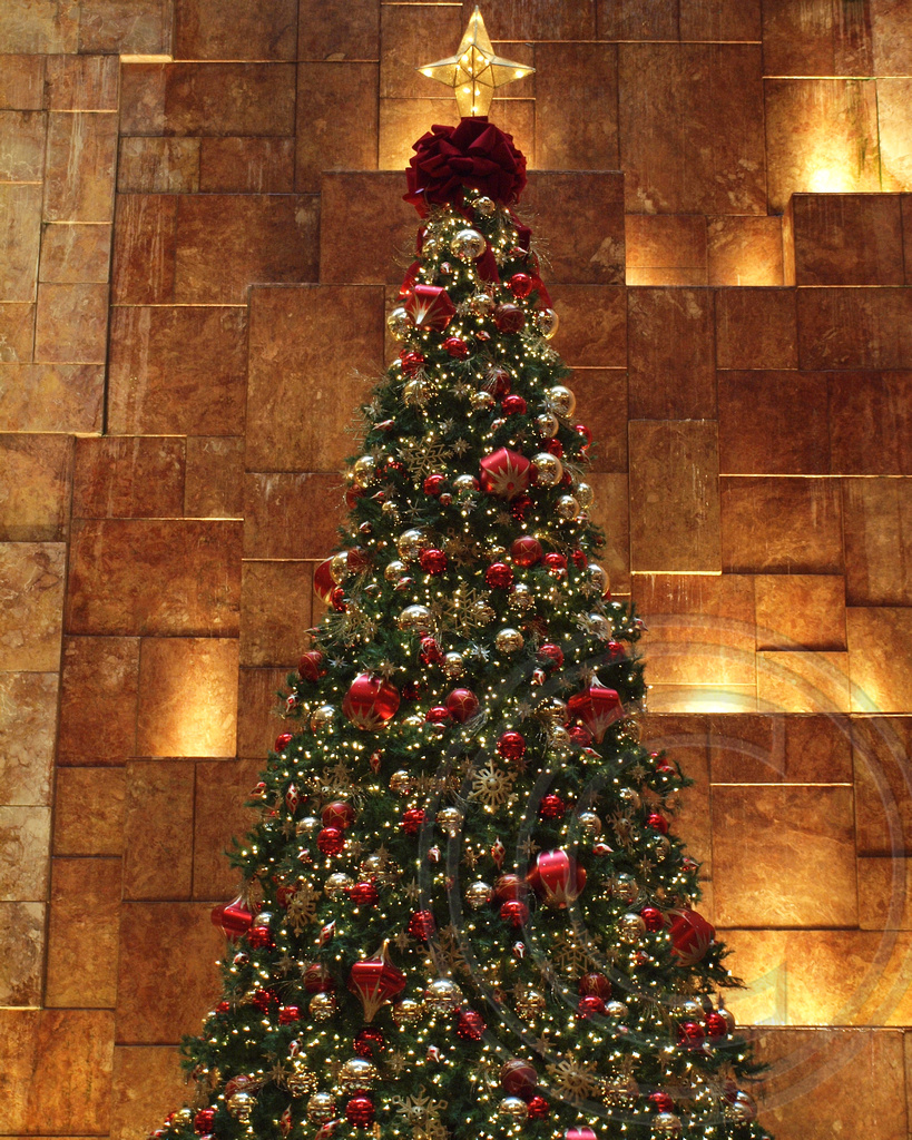 Trump Tower 2012 Christmas Tree, Manhattan, New York City | Flickr