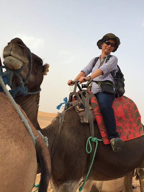 iphone photo 851: Sahara caravan. Merzouga (Morocco), 13 Aug 2016