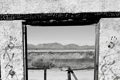 Framing the Arizona desert