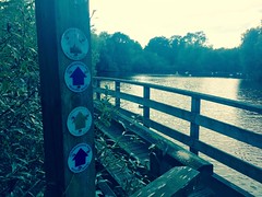 Walking routes at Stanborough Park