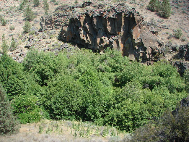 Whychus Creek Canyon