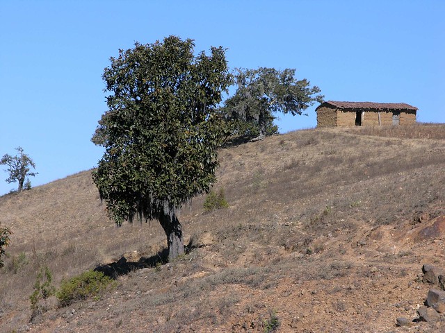 Shack on the hill - Casa para almacenar la cosecha; cerca de El Cortijo, carretera vieja entre Nochixtlán y Oaxaca, Oaxaca, Mexico