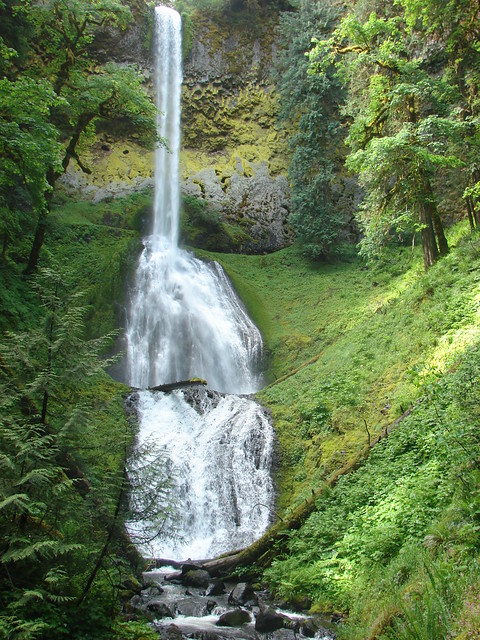 Pup Creek Falls