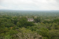 Vue sur la structure 7 au milieu de la jungle