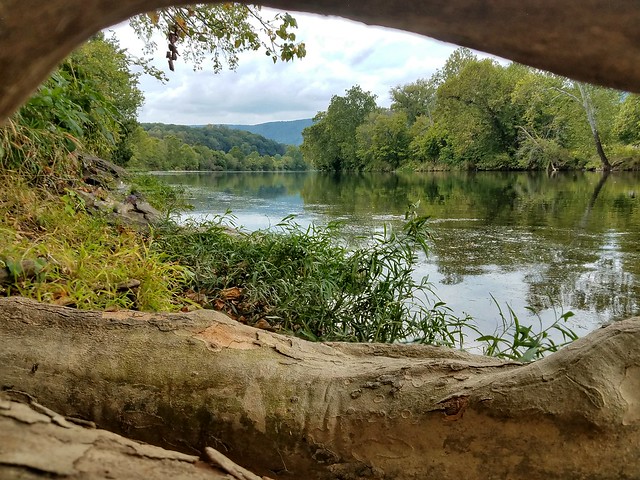 Beautiful Shenandoah River meanders along the banks of "Andy Guest" Shenandoah River State Park, in Virginia