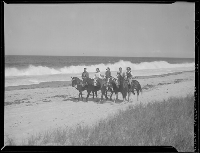 Group horseback riding