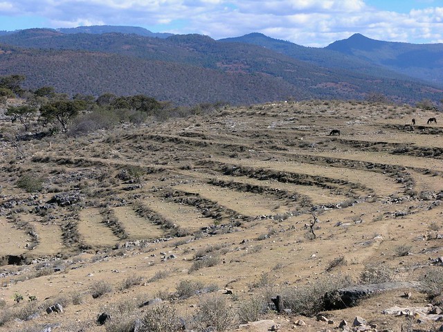 Terraces - Terrazas; San Miguel Piedras, Distrito de Nochixtlán, Región Mixteca, Oaxaca, Mexico