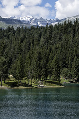 Autour de Flims, Lac de Comma, Grisons Suisse