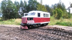 An old narrow-gauge locomotive